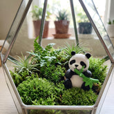 1 Pc Universal Panda Resin Character Decoration Accessories For Car