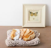 1 Pc Universal Dashboard Car Sleeping Cat On Carpet Sillicone (Brown)