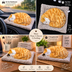 Universal Dashboard Car Sleeping Cat On Carpet Big Brown