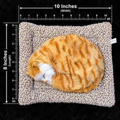 Universal Dashboard Car Sleeping Cat On Carpet Big Brown