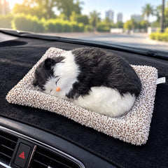 Universal Dashboard Car Sleeping Cat On Carpet Big Black & White