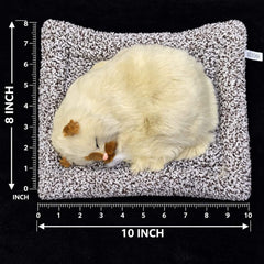 Universal Dashboard Car Sleeping Cat On Carpet Big Off White