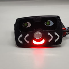 Universal Cat Style Customize Bike Panal With Indicator And Devil Eye Function 1 Pc