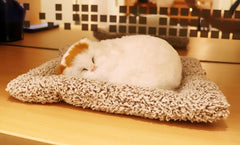 Universal Dashboard Car Sleeping Cat On Carpet Sillicone 1 Pc(White)