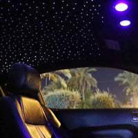 Liuhawk Double Head Fiber Optic 9.5ft Starlight Headliner Kit (300pcs 0.75mm+500pcs 0.5mm )& 900 Pcs 0.5mm with 100 pcs 1mm Meter Shooting Star, Sound Activated Remote APP Control CAR And HOME Roof Decor