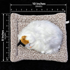Universal Dashboard Car Sleeping Cat On Carpet Big White
