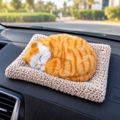 Universal Dashboard Car Sleeping Cat On Carpet Big Brown