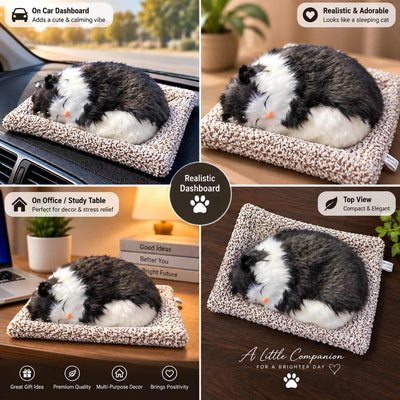 Universal Dashboard Car Sleeping Cat On Carpet Big Black & White