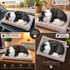 Universal Dashboard Car Sleeping Cat On Carpet Big Black & White