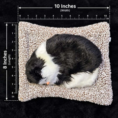 Universal Dashboard Car Sleeping Cat On Carpet Big Black & White