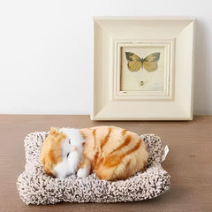 Universal Dashboard Car Sleeping Cat On Carpet Small (Brown)