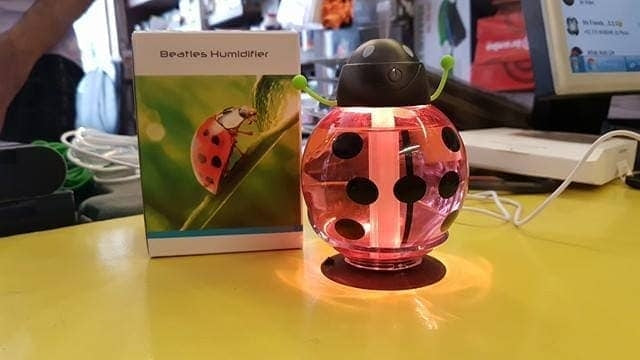 lady Bug Shape Humidifier Red Colour