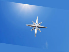 Starlight Silver Metal Logo