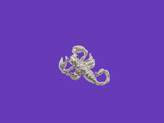 The Scorpion Silver Metal Logo